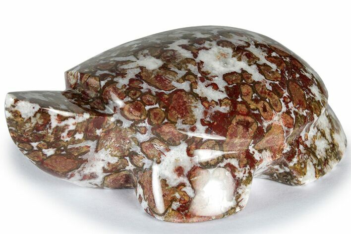 Polished Red Flower Marble Turtle - India #309071